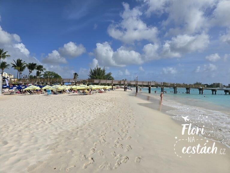 Tyrkysové moře a bílý písek na pláži Pebbles Beach na Barbadosu.