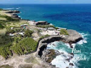 Dramatické korálové útesy na North Point na Barbadosu s tříštícími se vlnami Atlantiku.