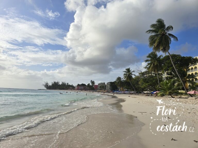 Odpočinek na pláži v Christ Church s výhledem na Karibské moře.