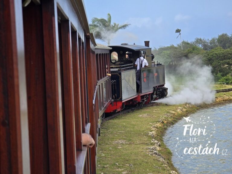 Historická parní lokomotiva na Barbadosu projíždějící mahagonovým lesem u St. Nicholas Abbey.