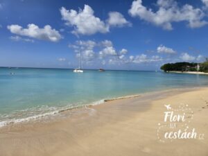 Pohled na klidné tyrkysové moře a bílý písek na Paynes Bay Beach na Barbadosu.