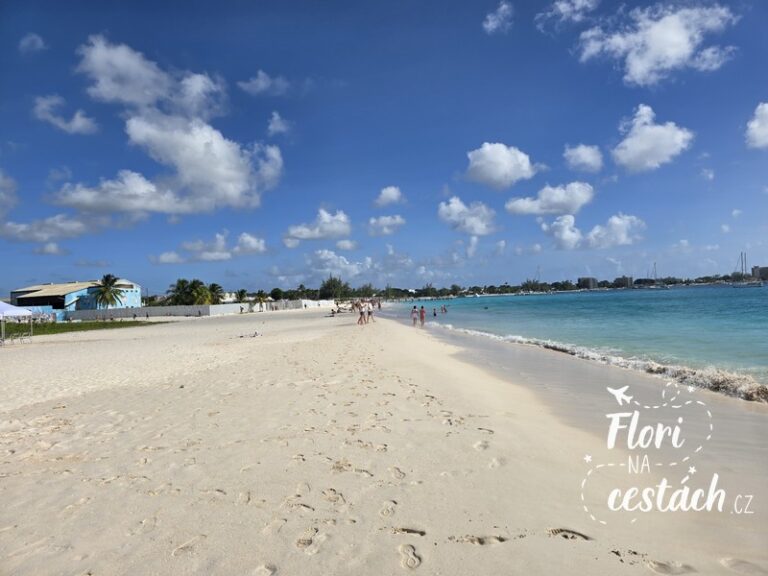 Pebbles Beach na Barbadosu