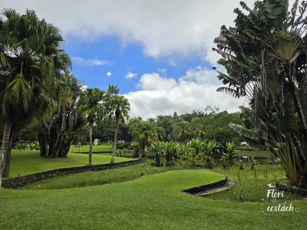 Upravený zelený trávník s palmami a protékajícím vodním kanálem pod polojasnou oblohou v botanické zahradě Curepipe na Mauriciu