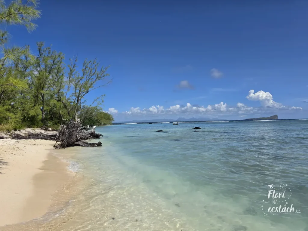 Písečná pláž na ostrově Gabriel Island na Mauriciu s průzračnou lagunou, vyvráceným kmenem stromu na břehu a ostrovem Coin de Mire na horizontu