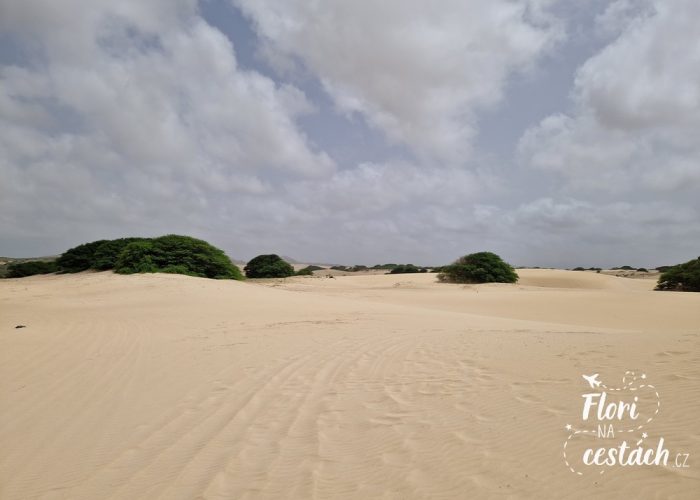 Deserto de Viana, Boa Vista, Cape Verde