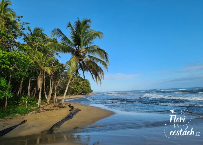 Playa Chiquita, Puerto Viejo, Kostarika, Karibské pobřeží