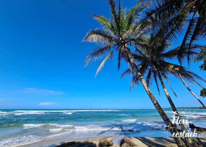 Playa Chiquita, Puerto Viejo, Kostarika, Karibské pobřeží