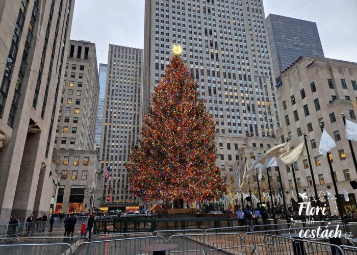 Vánoce v New Yorku, Vánoční strom, Rockefellerovo centrum New York