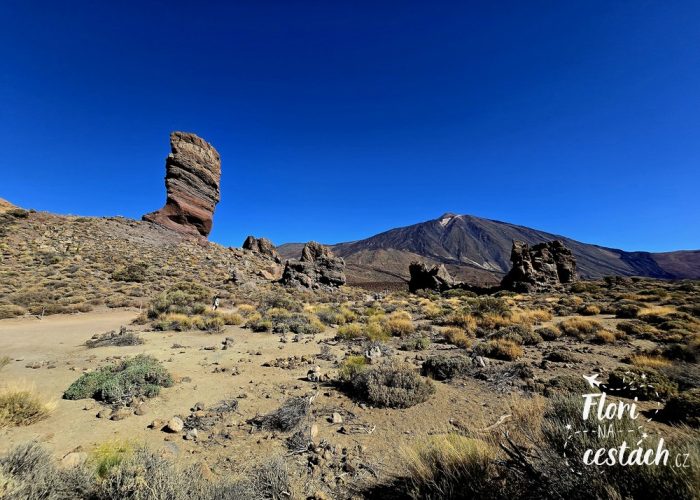 Pico del Teide, Tenerife, Kanárské ostrovy