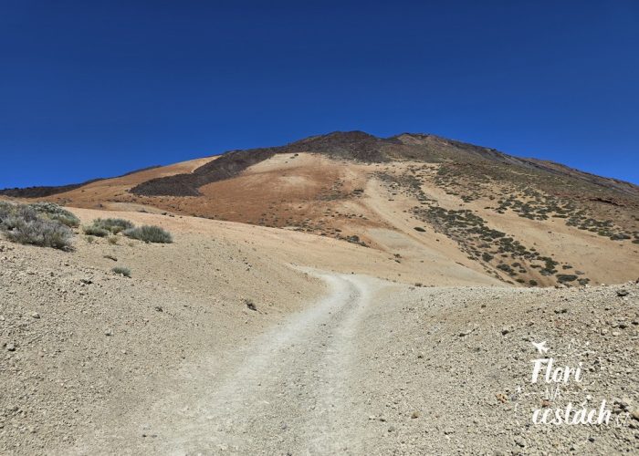 Pico del Teide, Tenerife, Kanárské ostrovy