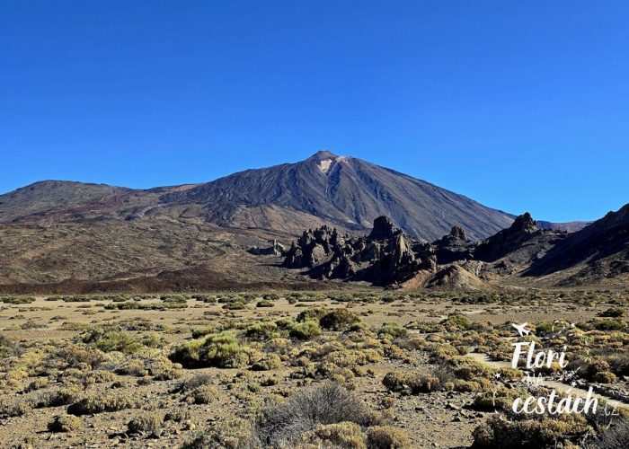 Pico del Teide, Tenerife, Kanárské ostrovy