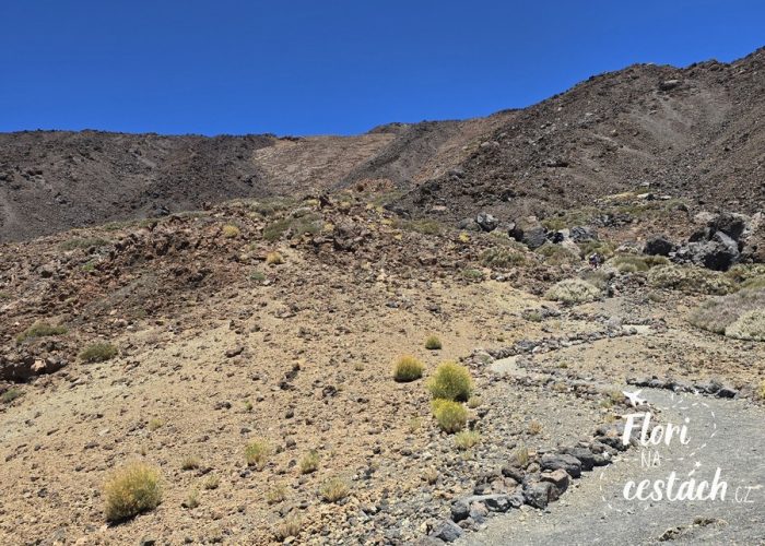 Pico del Teide, Tenerife, Kanárské ostrovy