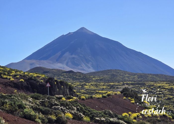 Pico del Teide, Tenerife, Kanárské ostrovy