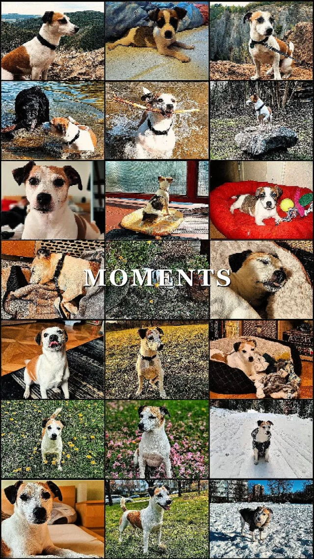 Ještě jedno vzpomínkové video.
Rasty, 2009 - 2025