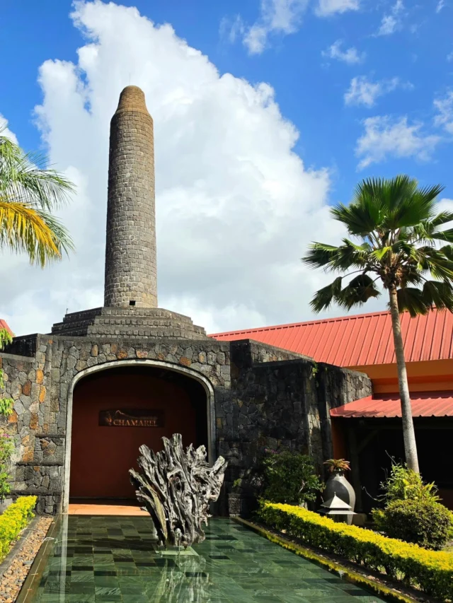 ​🥃 12 DRUHŮ RUMU NA JEDNOM MÍSTĚ: Rhumerie de Chamarel! 🇲🇺

​Jestli existuje místo, které na Mauriciu prostě nesmíš vynechat, je to tahle vyhlášená palírna ukrytá v údolí Chamarel. Není to jen obyčejný lihovar – je to zážitek pro všechny smysly.

​Jak to probíhá v praxi? 👇

​🪵 Eko-výroba od A do Z: Celá palírna funguje v souladu s přírodou. Pěstují si vlastní cukrovou třtinu bez jakýchkoliv chemických hnojiv. Během krátké a super zajímavé prohlídky ti ukážou celý proces – od drcení stébel až po destilaci v obřích měděných kotlích.

🧪 Alchymie chutí: Vzduch v palírně je prosycený vůní kvasící třtiny, dřevěných sudů a rumu. Celé to místo má neuvěřitelnou prémiovou atmosféru.

🥃 Ochutnávka bez limitů: To nejlepší tě čeká na baru. Dostaneš k otestování kompletní řadu jejich bílých i stařených rumů, a hlavně geniálních rumových likérů (kokosový a kávový jsou naprostý strop!). My jsme poctivě ochutnali všech 12 druhů. Domů samozřejmě vezeme plný kufr. 💼🎉

​🗺️ CHYSTÁŠ SE NA MAURICIUS BEZ CESTOVKY?
Skoc na můj web 👉 florinacestach.cz/eshop.

​#rhumeriedechamarel #chamarel #mauricius #cestovani #bezcestovky